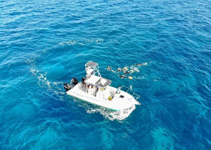 Boat-drone-snorkellers-Mandatory-credit-to-TongaPocketGuide.com-Feature-1-900x641